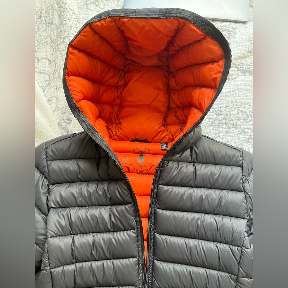 SAVE THE DUCK BOYS Hooded Water Repellent Puffer Jacket (Big Boy) SIZE 12